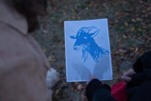 Szellemes bátorságpróba a Béke parkban
